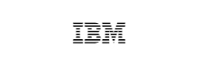 IBM Maximo 