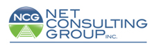 The Net Consulting Group